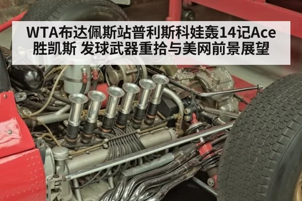 WTA布达佩斯站普利斯科娃轰14记Ace胜凯斯 发球武器重拾与美网前景展望
